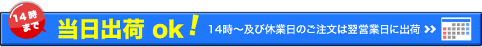 当日発送詳細案内へ