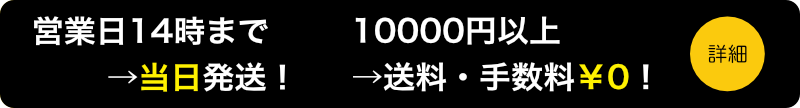 当日発送＆1万円以上で送料手数料無料