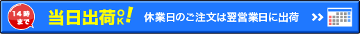 当日発送詳細