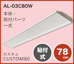 アシストルーバー/カスタム80　写真