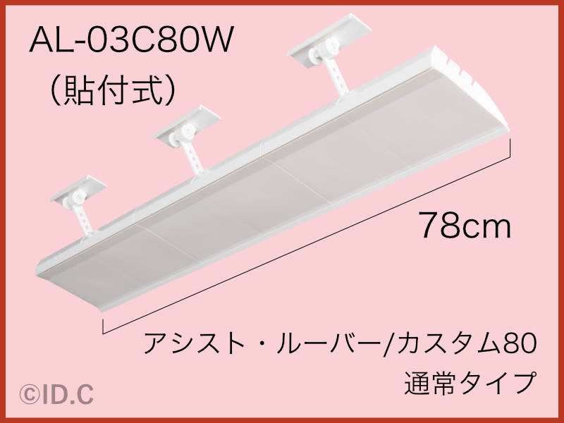 アシストルーバー、カスタム80
