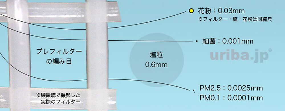 プレフィルターと花粉のサイズ比較