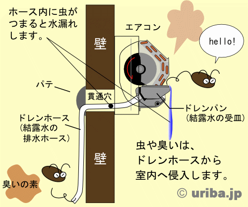 エアコン　ドレン内部の仕組み　図