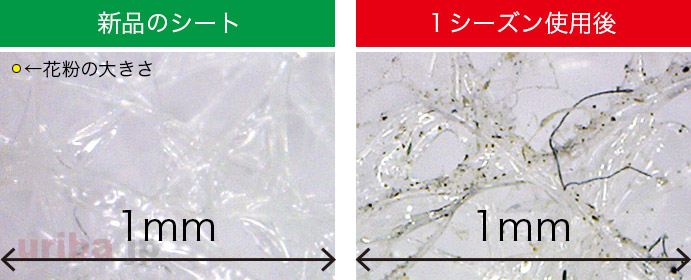 微粒子捕集シート使用前後の顕微鏡画像