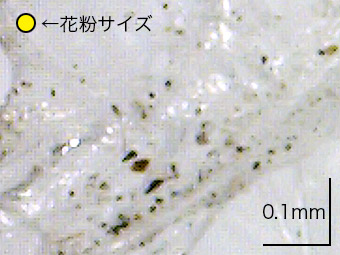 極小微粒子にも対応