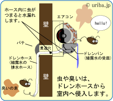 エアコン　ドレン内部の仕組み　図