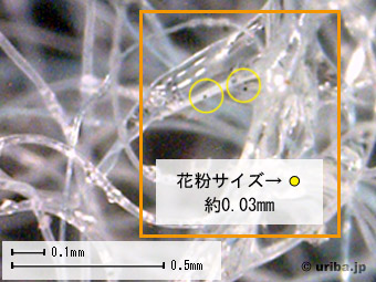 業務用エアコンフィルター顕微鏡写真ゴミ付き2