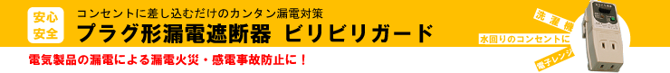 プラグ形漏電遮断器　ビリビリガード　タイトル