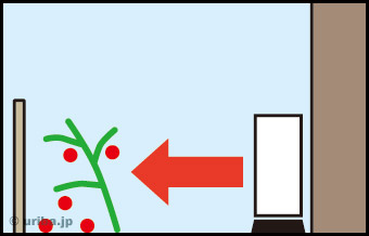 草花などに室外機の風が当たるイメージ図